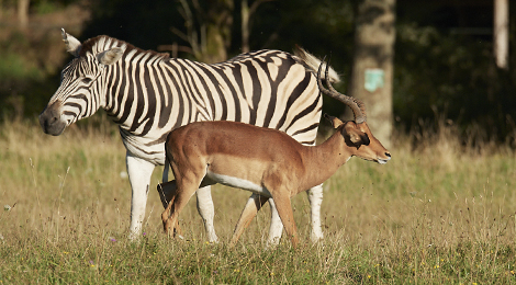 Séjours