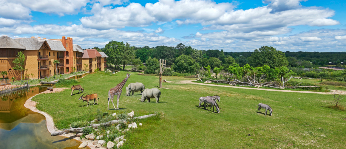 Un hébergement au cœur de la Savane africaine