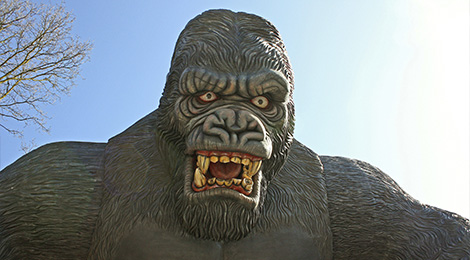 King Kong