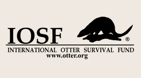 International Otter Survival Fund