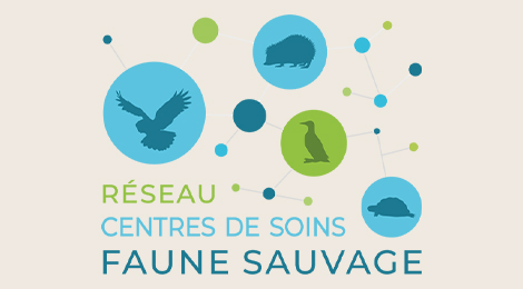 Le Réseau Centres de Soins Faune Sauvage